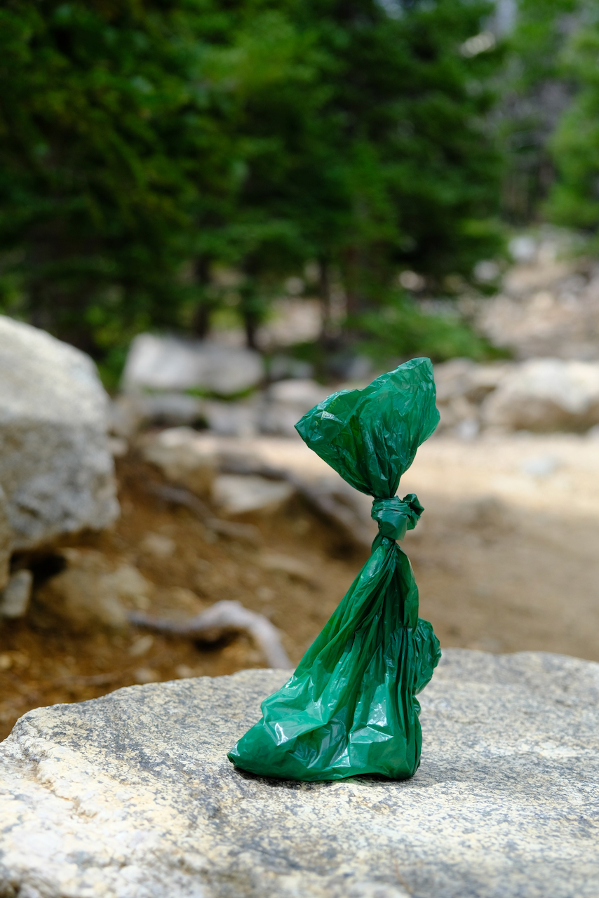 A tied green plastic bag, likely a dog waste bag, left sitting on a boulder along a hiking trail, with a blurred backdrop of forest and a rocky path.